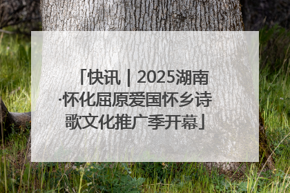 快讯｜2025湖南·怀化屈原爱国怀乡诗歌文化推广季开幕