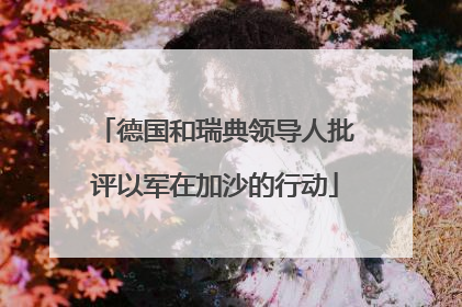 德国和瑞典领导人批评以军在加沙的行动