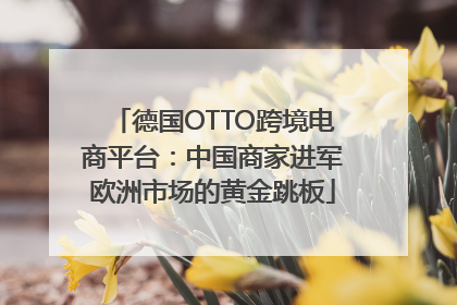 德国OTTO跨境电商平台：中国商家进军欧洲市场的黄金跳板