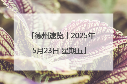 德州速览丨2025年5月23日 星期五