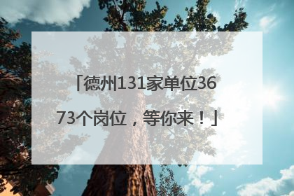 德州131家单位3673个岗位，等你来！