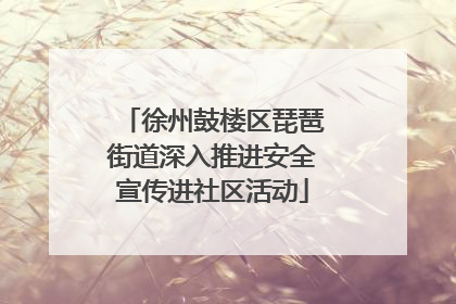 徐州鼓楼区琵琶街道深入推进安全宣传进社区活动