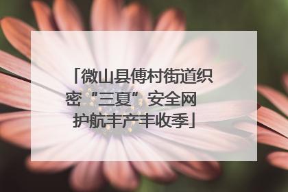 微山县傅村街道织密“三夏”安全网 护航丰产丰收季