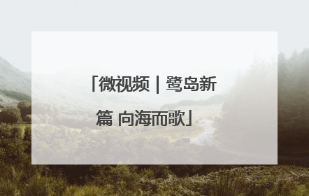 微视频｜鹭岛新篇 向海而歌