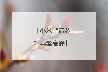 小米“造芯”再攀高峰