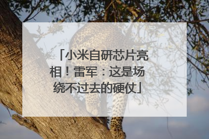 小米自研芯片亮相！雷军：这是场绕不过去的硬仗