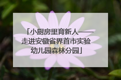 小厨房里育新人——走进安徽省界首市实验幼儿园森林分园