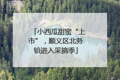 小西瓜甜蜜“上市”，顺义区北务镇进入采摘季