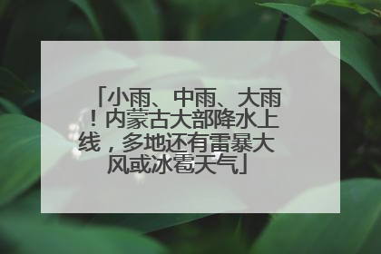 小雨、中雨、大雨！内蒙古大部降水上线，多地还有雷暴大风或冰雹天气