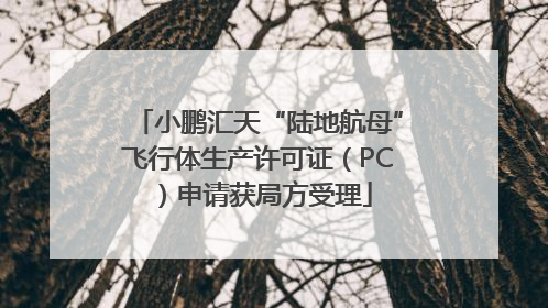 小鹏汇天“陆地航母”飞行体生产许可证（PC）申请获局方受理