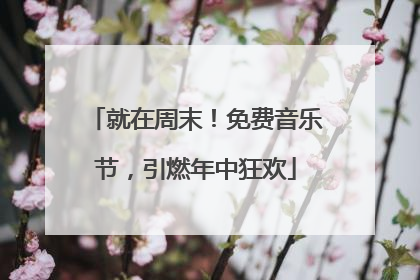 就在周末！免费音乐节，引燃年中狂欢