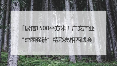 展馆1500平方米！广安产业“建圈强链”精彩亮相西博会