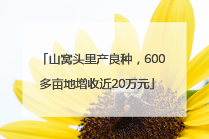 山窝头里产良种，600多亩地增收近20万元