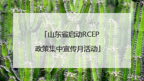 山东省启动RCEP政策集中宣传月活动