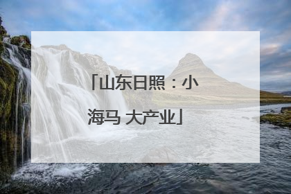山东日照：小海马 大产业