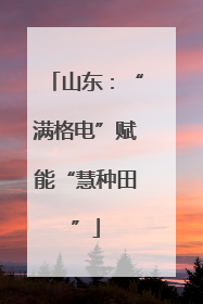 山东：“满格电”赋能“慧种田”
