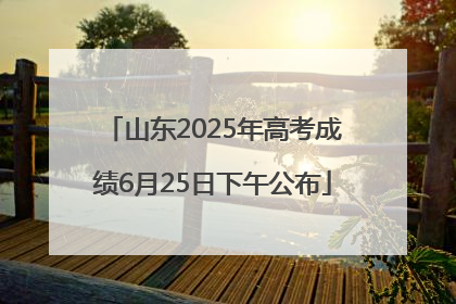 山东2025年高考成绩6月25日下午公布