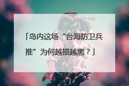 岛内这场“台海防卫兵推”为何越描越黑？