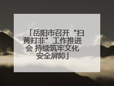 岳阳市召开“扫黄打非”工作推进会 持续筑牢文化安全屏障