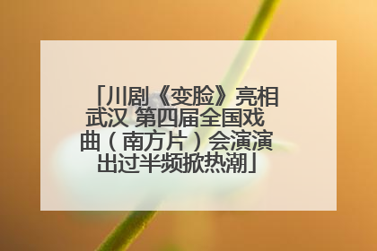 川剧《变脸》亮相武汉 第四届全国戏曲（南方片）会演演出过半频掀热潮