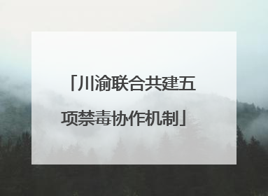 川渝联合共建五项禁毒协作机制