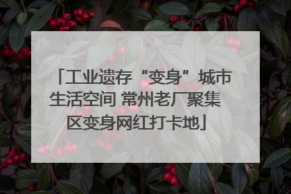 工业遗存“变身”城市生活空间 常州老厂聚集区变身网红打卡地