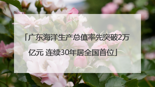 广东海洋生产总值率先突破2万亿元 连续30年居全国首位