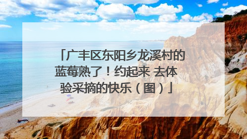 广丰区东阳乡龙溪村的蓝莓熟了！约起来 去体验采摘的快乐（图）