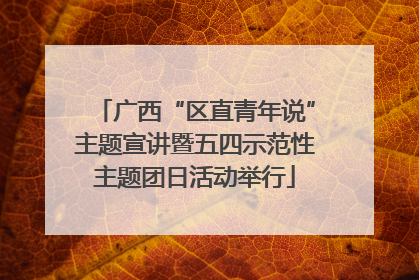 广西“区直青年说”主题宣讲暨五四示范性主题团日活动举行