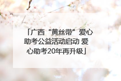 广西“黄丝带”爱心助考公益活动启动 爱心助考20年再升级