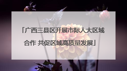 广西三县区开展市际人大区域合作 共促区域高质量发展