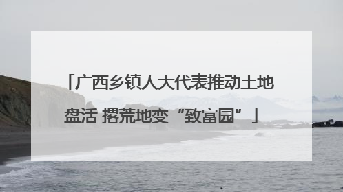 广西乡镇人大代表推动土地盘活 撂荒地变“致富园”