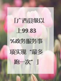 广西县级以上99.83%政务服务事项实现“最多跑一次”