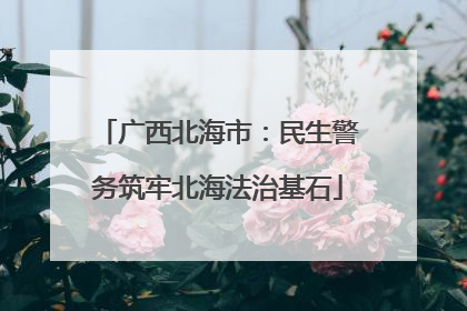 广西北海市：民生警务筑牢北海法治基石