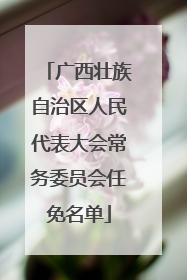 广西壮族自治区人民代表大会常务委员会任免名单