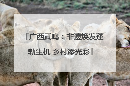 广西武鸣：非遗焕发蓬勃生机 乡村添光彩
