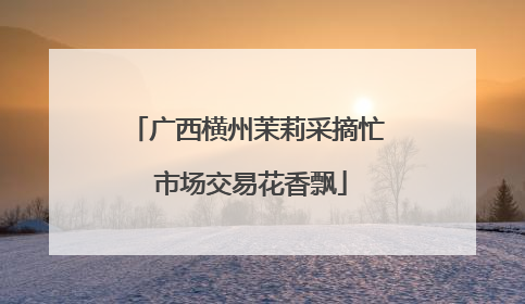 广西横州茉莉采摘忙 市场交易花香飘