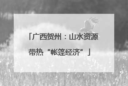广西贺州：山水资源带热“帐篷经济”