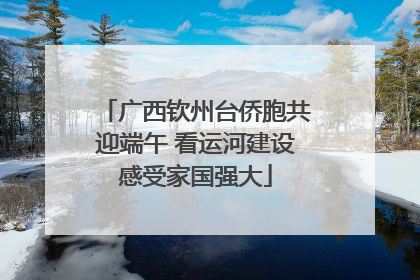 广西钦州台侨胞共迎端午 看运河建设感受家国强大
