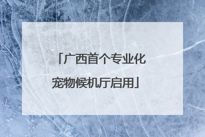 广西首个专业化宠物候机厅启用