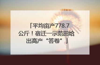 平均亩产778.7公斤！宿迁一示范田给出高产“答卷”