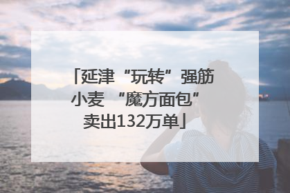 延津“玩转”强筋小麦 “魔方面包”卖出132万单