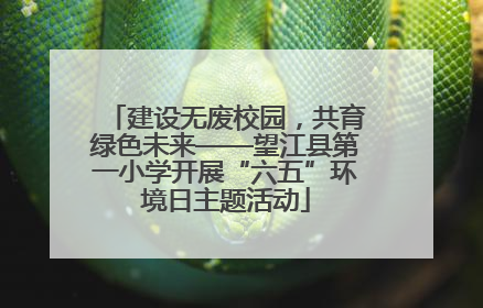 建设无废校园，共育绿色未来——望江县第一小学开展“六五”环境日主题活动