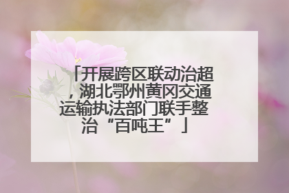 开展跨区联动治超，湖北鄂州黄冈交通运输执法部门联手整治“百吨王”