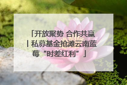 开放聚势 合作共赢丨私募基金抢滩云南蓝莓“时差红利”