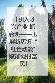 引人才 兴产业 抓治理——玉屏新店镇“红色动能”赋能强村富民