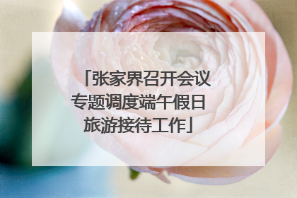 张家界召开会议专题调度端午假日旅游接待工作