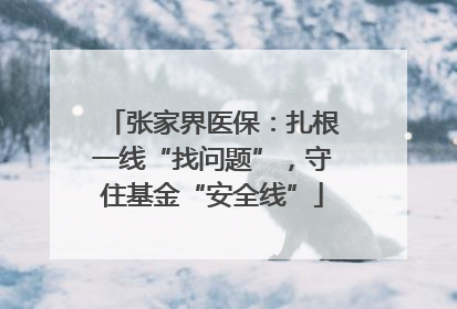 张家界医保：扎根一线“找问题”，守住基金“安全线”