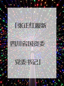 张正红履新四川省国资委党委书记