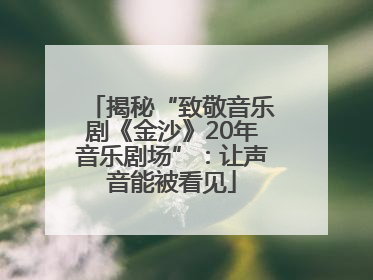 揭秘“致敬音乐剧《金沙》20年音乐剧场”：让声音能被看见